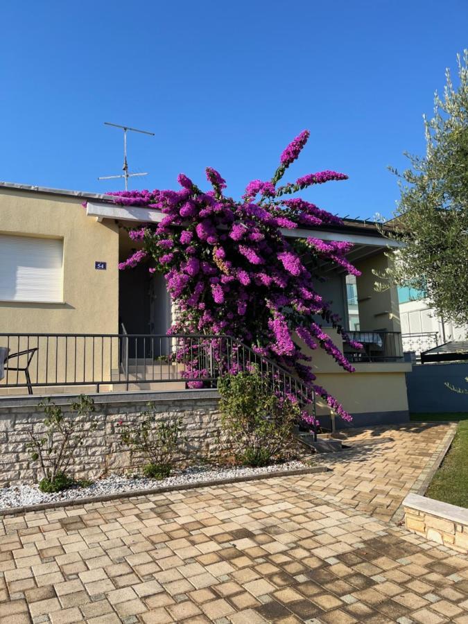 App Forza Apartment Umag Luaran gambar